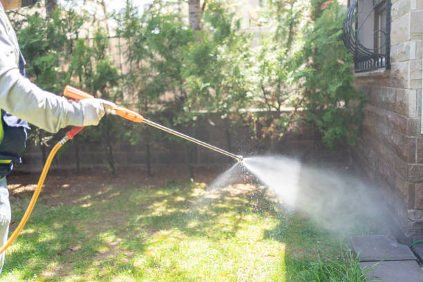 Best Termite Control Services  in Belleair, FL